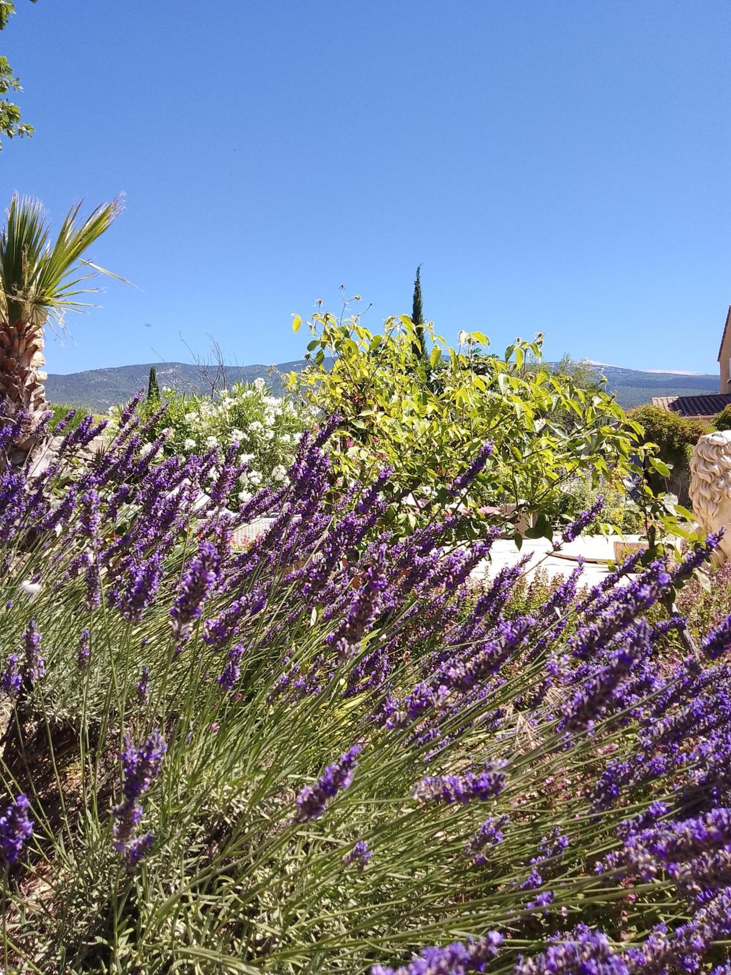Les Gites Du Mont Ventoux Bédoin Exteriér fotografie